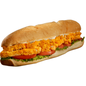 CRISPY CHICKEN